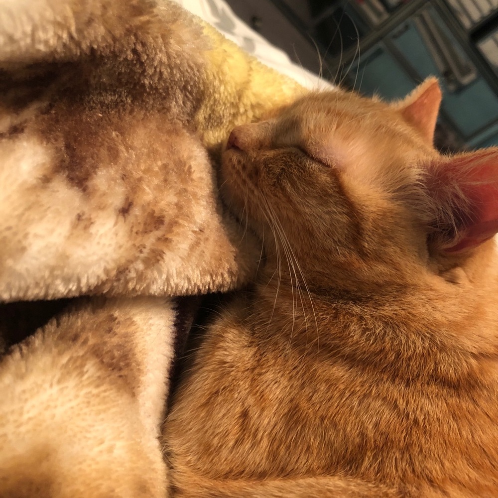 Meet your Posher, Emily